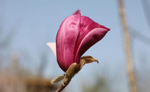 ӢQ(chng)Ⱦҕܓp,Ӣ(gu)Ⱥwָʲô